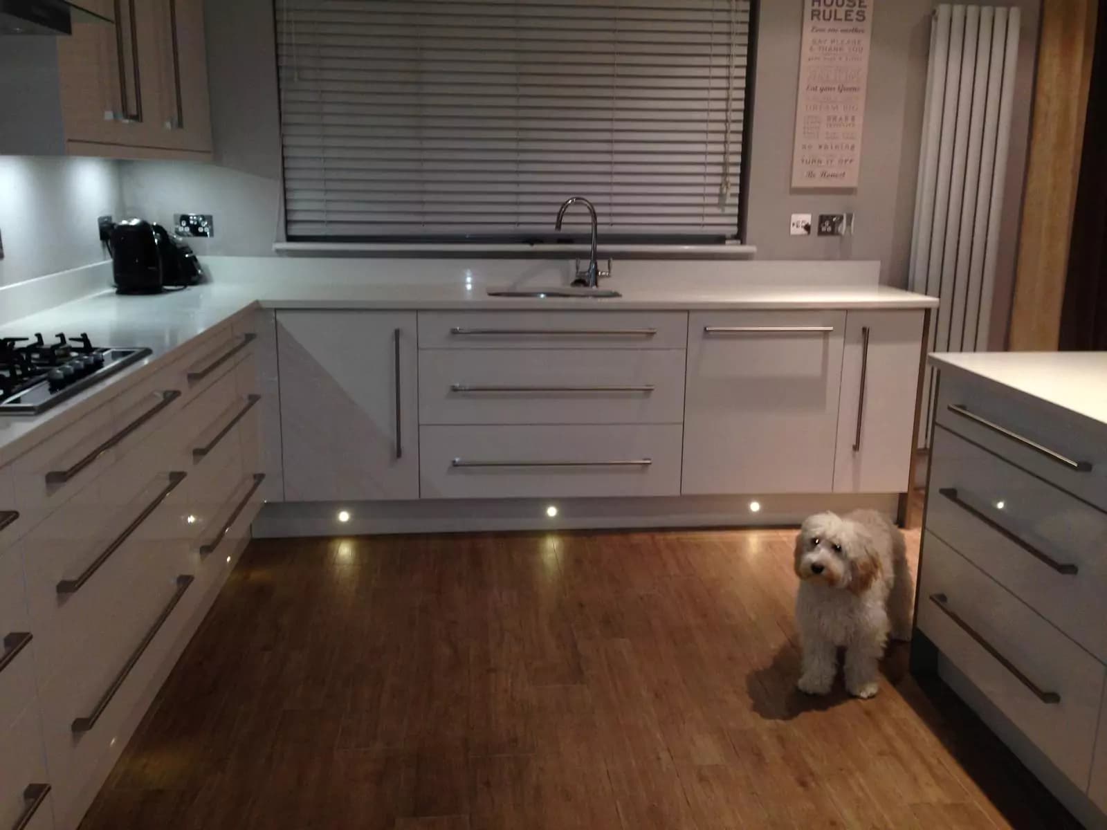 Modern Two-Tone Kitchen